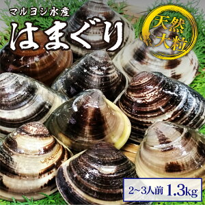 yӂ邳Ɣ[Łz }VY@KY嗱VR@1.3kg_͂܂@n}O@@L yVX[p[SALE 9J
