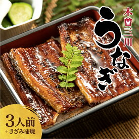 【ふるさと納税】 王鉄興業　木曽三川うなぎ3人前＋きざみ蒲焼