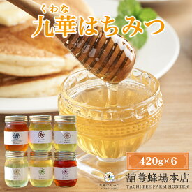 【ふるさと納税】 舘養蜂場本店　九華はちみつ大容量セット420g×6本
