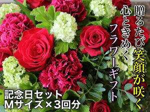 yӂ邳Ɣ[ŁzԂ񐶉ԓX@G߂̃t[AWg`LOZbg`iS3j@MTCY yVX[p[SALE 9J