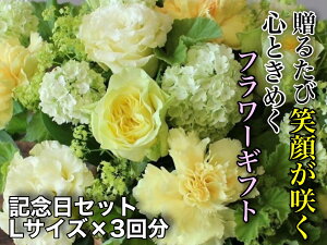yӂ邳Ɣ[ŁzԂ񐶉ԓX@G߂̃t[AWg`LOZbg`iS3j@LTCY yVX[p[SALE 9J