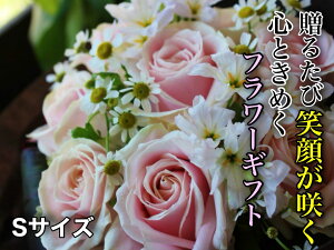 yӂ邳Ɣ[ŁzԂ񐶉ԓX@LOʂG߂̃t[AWg@STCY yVX[p[SALE 9J
