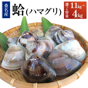yӂ邳Ɣ[ŁzywK{zyIׂeʁzیY KYin}Oj1.1kg 1.5kg 2.2kg 4.0kg ͂܂  L Od Ks  y2025N9{2026N6{\z