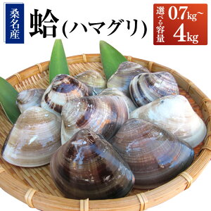 【ふるさと納税】【指定日必須】【選べる容量】丸元水産 桑名産蛤(ハマグリ)0.7kg 1.1kg 1.5kg 2.2kg 4.0kg 10000円 〜 50000円 1万円 〜 5万円 はまぐり 魚介 貝 三重県 桑名市 送料無料 【2025年9月下