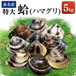 �y�ӂ邳�Ɣ[�Łz�y�w����K�{�z�y����z�ی����Y �K���Y���i�n�}�O���j 5.0kg 80000�~ 8���~ �͂܂��� ����� �L �C�N �C�Y�� ���Y�� �① �O�d���Y ���Y �K���s �O�d�� �������� �y2025�N9����