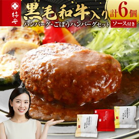 【ふるさと納税】 柿安本店 黒毛和牛入りハンバーグ 6個セット 肉 お肉 にく ニク はんばーぐ 冷凍 三重県 桑名市