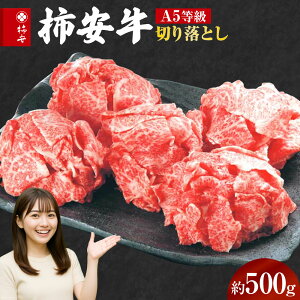 yӂ邳Ɣ[ŁzywK{z`  ؂藎Ƃ 500g ` Y  Y  A5 јa A5 a Od Ks ①  yʏ픭or2025N1222z