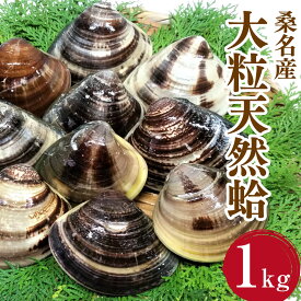 【ふるさと納税】【指定日必須】マルヨシ水産 桑名産大粒天然蛤 1kg_はまぐり ハマグリ 魚介 貝 17000円 1万7000円