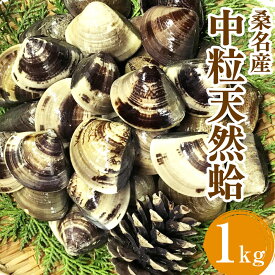【ふるさと納税】【指定日必須】 マルヨシ水産　桑名産中粒天然蛤　1kg_はまぐり　ハマグリ　魚介　貝