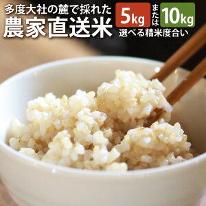 yӂ邳Ɣ[Łzԋvč̔ xЂ̘[ō̂ꂽ_ƒ  5kg / 10kg yIׂ鐸ēxz RVqJ ߘa7NY   Pꌴ ͂  OdY Y Od Ks 