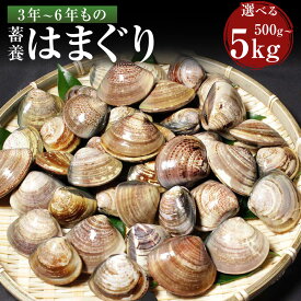 【ふるさと納税】＜選べる内容量＞【指定日必須】蓄養はまぐり 3年～6年もの 500g / 1kg / 2kg / 3kg / 5kg はまぐり ハマグリ 蛤 魚貝類 水産物 海鮮 料理 グルメ ギフト 贈り物 贈答 冷蔵 中国産 三重県 桑名市 送料無料