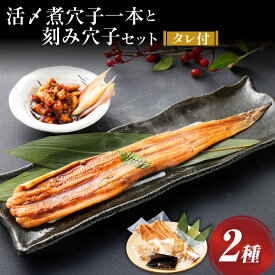 【ふるさと納税】飯田商店 活〆煮穴子一本と刻み穴子のセット タレ付 | 柔らか煮穴子 ×2袋 ・ 刻み穴子 ×3袋 穴子 アナゴ あなご 魚介類 水産物 無添加調理 惣菜 おかず ご飯のお供 ごはんのお供 手巻き寿司 おにぎり お酒のお供 おつまみ 冷凍 三重県 桑名市 送料無料