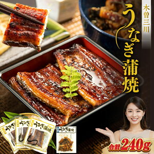 yӂ邳Ɣ[Łz S ؑ]O삤Ȃ3lO{݊ v240g V EiM  Ώ  ^ yp̉N Ђ܂Ԃ ȏd aa03