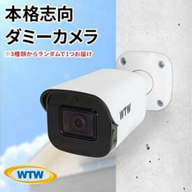 【ふるさと納税】本物志向 ダミー 防犯カメラ 3種の中から1台をお届け(種類は選べません)防犯ステッカー2枚付