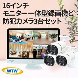 【ふるさと納税】Par16インチ液晶録画装置2TB&300万画素屋外防犯カメラ3台セット