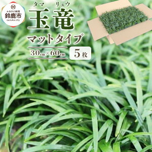yӂ邳Ɣ[ŁzOd鎭sY ʗi^}Ej}bg^Cv5