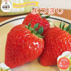 yӂ邳Ɣ[Łzys\z2026N1 ڂ  200g×4 |  t[c 鎭s ڂ VN Â Gߌ s\ ~ ƒp fU[g XC[c { Yn  lC 