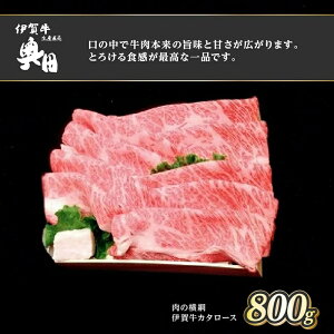 yӂ邳Ɣ[Łz̉j@ɉꋍ@J^[X@800g@Ă@Ă ^ Ⓚ@Y@Ɩq@Od@s@c@IN_[0536]5-