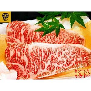 yӂ邳Ɣ[Łzɉꋍ[XXe[L(500g)EĂ(600g)Zbg