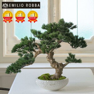 �y�ӂ邳�Ɣ[�Łz�A�[�g�t�����[ �G�~���I�E���o�@�~�́@TUTTA30500