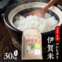 楽天市場】米 白米 27kgの通販