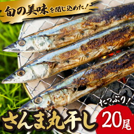 【ふるさと納税】旬 の 美味しさ を閉じ込めた さんま 丸干し 4匹入り×5袋セット 脂 ののった 旬の 秋刀魚 丸ごと 一夜干し 旬の 旨み 脂 を閉じ込めました サンマ 丸干し 海鮮 魚介 三重県 尾鷲 IW-8