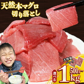 【ふるさと納税】 天然本マグロ 切り落とし 大容量パック 500g ｜ 1kg ( 500g × 1袋 ｜ 2袋) 天然まぐろ 本マグロ 刺身 中トロ 赤身 まぐろ丼 家族みんなで 手巻き寿司 寿司 天然 まぐろ マグロ 簡単 時短 冷凍 海鮮 トロ 鮪 人気 返礼品 三重県 尾鷲市 CH-106