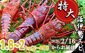 【ふるさと納税】特大活伊勢エビ1.8kg～2kg（2～4尾）（2026/2/16〜4月20日までお届け）100セット限定 MG-10