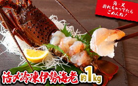 【ふるさと納税】刺身 でもうまい！活〆 冷凍 伊勢海老 大満足 の約1kg（2～5尾）えび エビ いせえび イセエビ 高級 鮮魚 海鮮 産地直送 魚介 刺身 焼き物 汁物 ギフト 贈答 贈り物 祝い 歳暮 天然 海の幸 正月 お正月 冷凍 急速 みそ汁 MG-6