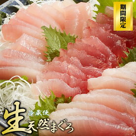 【ふるさと納税】〈生でお届け〉国産天然マグロ短冊 700g 【4月25日（土）までの受付】 産地直送 天然ビンチョウマグロ短冊 天然 国産 鮪 まぐろ マグロ ユッケ 海鮮 刺身 ネギトロ 短冊 期間限定 小分け 新鮮 品質 厳選 とろける トロ ビンチョウ 三重県 尾鷲市 KI-69