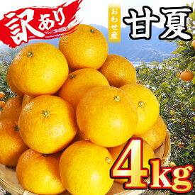 【ふるさと納税】おわせの甘夏 【訳あり】 4kg 木成り完熟甘夏 甘夏 蜜柑 果物 みかん 雨の恵み 国産 三重 尾鷲 柑橘 特産品 AI-6