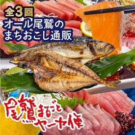 【ふるさと納税】【オプション全部盛り！！】「オール尾鷲」の大人気まちおこし通販便（年3回） 尾鷲まるごとヤーヤ便 （年3回） 【12月31日までにお申し込みの方にオリジナルグッズプレゼント！】 YA-12