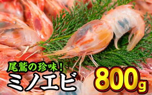 yӂ邳Ɣ[ŁzIIjGri~mGrj 800gZbg VR NxQ D C̏ŐHׂ閡  CV  Gr kt L H hg ①  L CY  Yn 