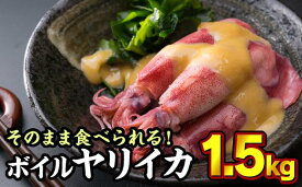 【ふるさと納税】ボイルヤリイカ 約1.5kg（300g × 5袋）セット（到着日時指定必須商品） 小分け 三重県尾鷲市 人気 大満足 返礼品 MT-9