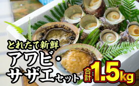 【ふるさと納税】 尾鷲産 活アワビ・活サザエセット 1.5kg　HA-54