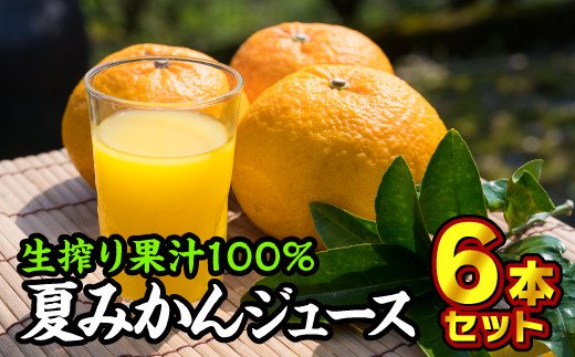 【ふるさと納税】KP-3 6本セット × 夏みかん100%ジュース（甘夏）1000ml 野菜・果実飲料
