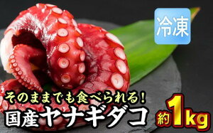 yӂ邳Ɣ[ŁzyⓀzYiM_R 1kgi250g × 4܁jZbg ՂՂ ӂ 炩  ^R ^Rg ^R̓g Ă ^RĂ |   ܂ 
