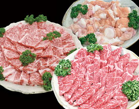 【ふるさと納税】紀和牛赤身焼肉・ロース焼肉・牛腸セット　TM-25