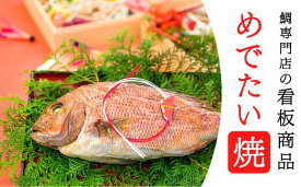 【ふるさと納税】めでたい焼 tai たい タイ 鯛 海鮮 魚介 高級魚 塩焼き 冷凍 お食い初め ハレの日 お祝いごと 正月 お正月 お歳暮 お中元下ギフト ギフト用 贈答 贈答用 加工品 惣菜 人気 おすすめ おいしい 処理済 下処理済み 尾鷲市 ME-7