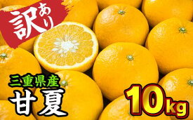 【ふるさと納税】【訳あり】三重県産　サンフルーツ（甘夏） 10kg【出荷目安：3月中旬〜4月下旬】 II-42