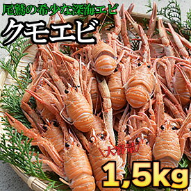【ふるさと納税】クモエビ（オオコシオリエビ） 1500g 大容量 深海エビ 鮮度抜群 漁船直送 濃厚なミソ 上品な甘さ 海老 えび エビ 殻付き 有頭 冷蔵便 魚介類 魚貝類 海産物 おかず 酒の肴 三重県産 尾鷲市 HA-70