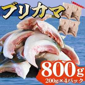 【ふるさと納税】ブリカマ 切り落とし 800g 大容量 小分け 200×4 パック 国産 希少部位 ブリ ぶり 鰤 頭肉 塩焼き 煮付け 照り焼き ブリ大根 アクアパッツァ 人気 大満足 美味しい 魚介類 海鮮 バーベキュー BBQ 冷凍 肉厚 ふるさと納税 三重県 尾鷲市 OB-37