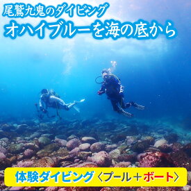【ふるさと納税】オハイブルー、350種の美しい ウミウシ が魅力【 体験ダイビング プール ＋ ボート】ワイド や ソフトコーラル も 人気 三重県 尾鷲市 九鬼 の ダイビング 通年 オールシーズン　DI-11