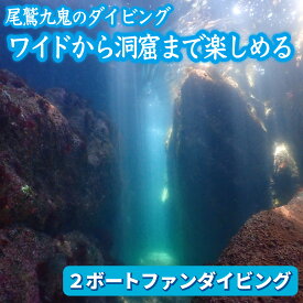 【ふるさと納税】ワイドから 美しい 洞窟 まで楽しめる！【 2ボートファンダイビング】ワイド や ソフトコーラル も 人気 三重県 尾鷲市 九鬼 の ダイビング 通年 オールシーズン 　DI-13