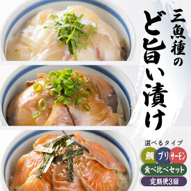 【ふるさと納税】ど旨い漬け丼シリーズ〈選べる 5タイプ〉《 3種 食べ比べセット〈お試し商品〉｜サーモン｜ブリ｜マダイ｜3種定期便》　 魚 冷凍 加工品 刺身 セット 産地直送 国産 海鮮 漬け 小分け 海鮮丼 漬け丼 鮭 さけ 鰤 ぶり 鯛 たい タイ 真鯛 正月 おせち KI-48