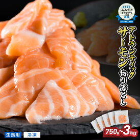【ふるさと納税】＜1ヶ月以内にお届け＞ 生食用 サーモン 切り落とし 小分け 750g | 1500g | 2250g |3000g 鮭 ノルウェー サーモン アトランティックサーモン 国際規格SQF2000 さけ シャケ しゃけ カルパッチョ ソテー 刺身 お刺身 冷凍 贈答 1.5kg | 3kg | 4.5kg OB-21