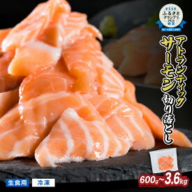 【ふるさと納税】＜1ヶ月以内にお届け＞ 生食用 サーモン 切り落とし 小分け 600g | 1200g | 1800g |2400g 鮭 ノルウェー サーモン アトランティックサーモン 国際規格SQF2000 さけ シャケ しゃけ カルパッチョ ソテー 刺身 お刺身 冷凍 贈答 1.2kg | 2.4kg | 3.6kg OB-f-21