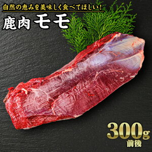 yӂ邳Ɣ[Łz  300gbTXeiu SDGs VN J[ wV[ n Xe[L ē VJ  WrGH YZ-5