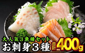 【ふるさと納税】 大人気お刺身用スライスセット 3種セット 小分け 鮭 サーモン アトランティックサーモン さけ シャケ しゃけ ぶり ブリ 鰤 たい タイ 鯛 カルパッチョ 人気 高級 美味しい 生食用 刺身 お刺身 刺し身 魚介類 海鮮 冷凍OB-9