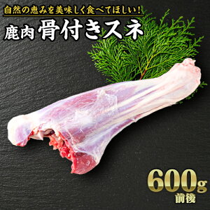 yӂ邳Ɣ[ŁzWrG  tXl 600gbTXeiu SDGs VN J[ wV[ n Jc ē VJ  WrGH YZ-7